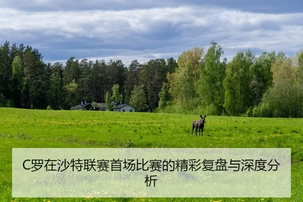 luo-zai-sha-te-lian-sai-shou-chang-bi-sai-de-jing-cai-fu-pan-yu-shen-du-fen-xi-2-314.jpg